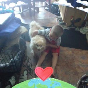 Meet your Posher, Gail